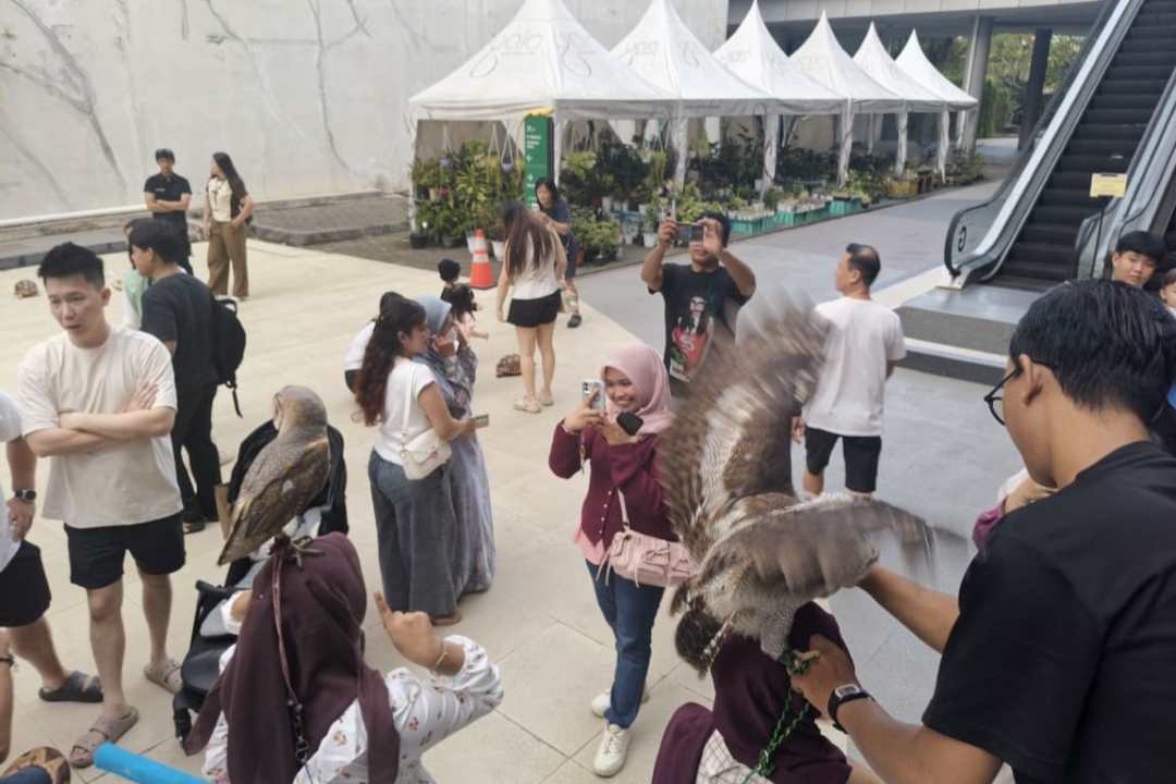 Ular Hingga Iguana “Serbu” Gaia Mall, Pengunjung Antusias Berinteraksi dengan Satwa Eksotik