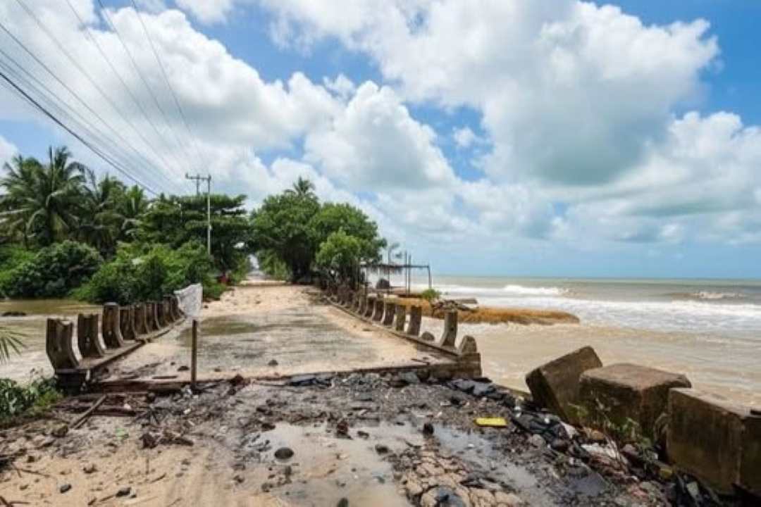 Jembatan Nyaris Roboh Akibat Abrasi, Garis Pantai Matang Danau Paloh Menyusut Tajam