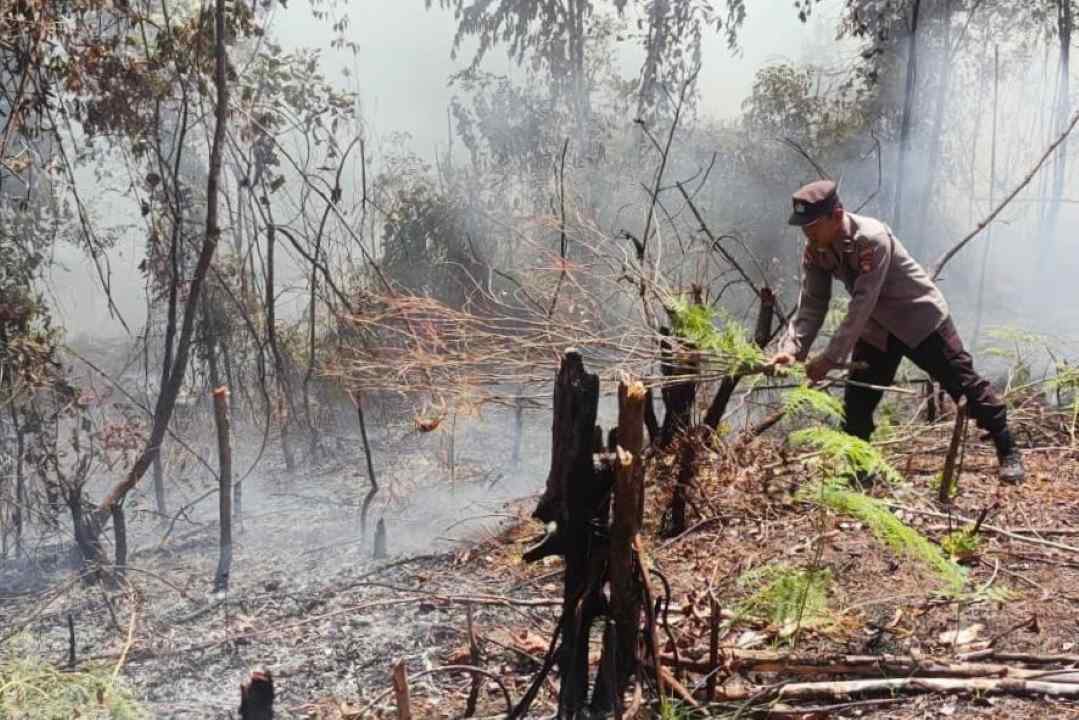 Tanpa Hujan Lebat Hingga Pekan Depan, Singkawang dan Pontianak Siaga Titik Api