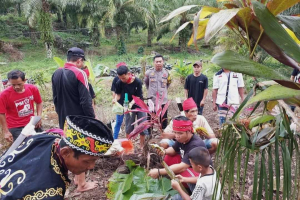 Tradisi Tutup Kampung Ba Bo’o Dimulai, Akses Jalan Sanggau Kulor Ditutup Total Dua Malam