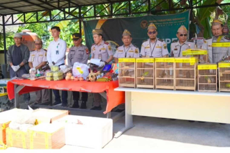 Modus Sembunyi di Truk Ekspedisi, Ratusan Burung Berkicau Diamankan Petugas Karantina Kalbar