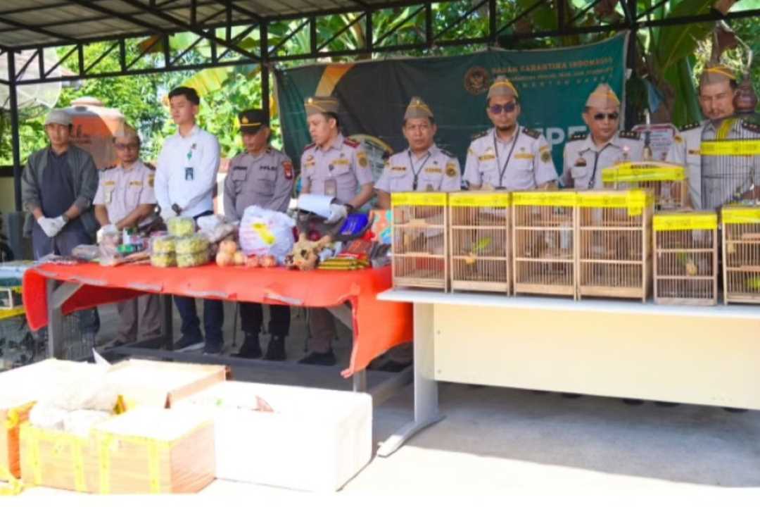 Modus Sembunyi di Truk Ekspedisi, Ratusan Burung Berkicau Diamankan Petugas Karantina Kalbar