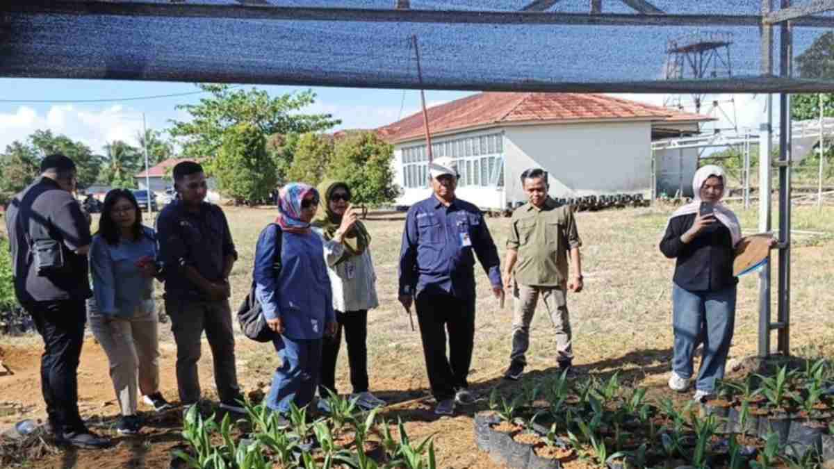 Kementan Tinjau Lokasi Cetak Sawah dan Pembibitan di Kecamatan Selakau Sambas
