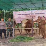 Pemkot Singkawang Serahkan Sapi Kurban Bantuan Presiden ke Masjid Al-Fattah