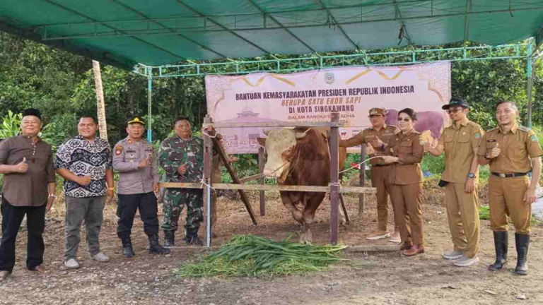 Pemkot Singkawang Serahkan Sapi Kurban Bantuan Presiden ke Masjid Al-Fattah