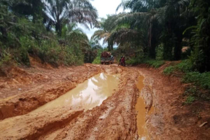 20 Tahun Tak Tersentuh Perbaikan, Jalan Utama Menuju Perkebunan Sawit di Seluas Bahayakan Warga