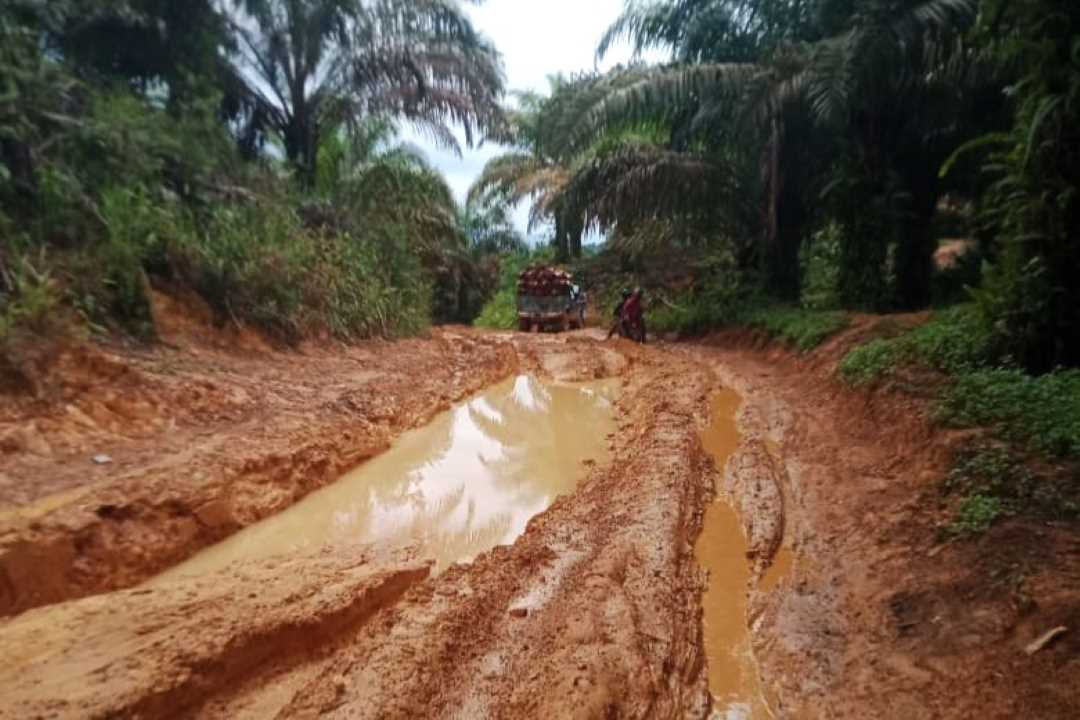 20 Tahun Tak Tersentuh Perbaikan, Jalan Utama Menuju Perkebunan Sawit di Seluas Bahayakan Warga