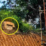 Pembangunan Sekolah Rakyat di Singkawang Terkendala Dua Makam Tua, Pemerintah Cari Ahli Waris