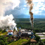 Wacana 12,7 Juta Hektare Hutan Rusak untuk Sawit B50 Hashim Djojohadikusumo Sorot Perhatian Pakar
