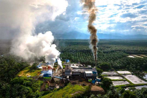 Wacana 12,7 Juta Hektare Hutan Rusak untuk Sawit B50 Hashim Djojohadikusumo Sorot Perhatian Pakar